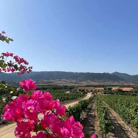 Agriturismo Campesi Casale Tra Le Vigne Aglientu Bagian luar foto