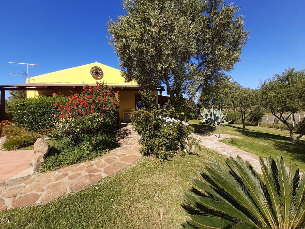 Agriturismo Campesi Casale Tra Le Vigne Aglientu Bagian luar foto