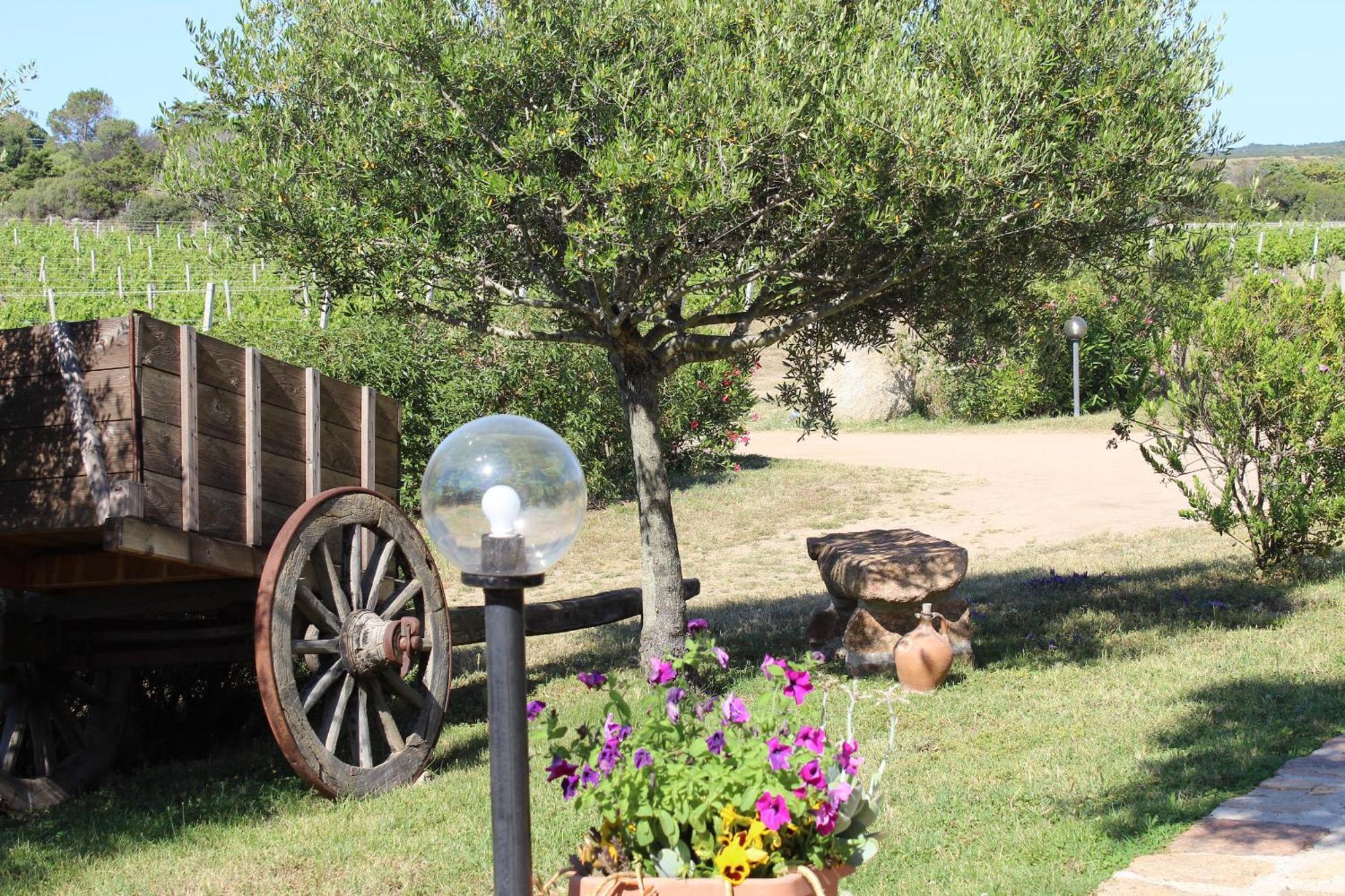 Agriturismo Campesi Casale Tra Le Vigne Aglientu Bagian luar foto