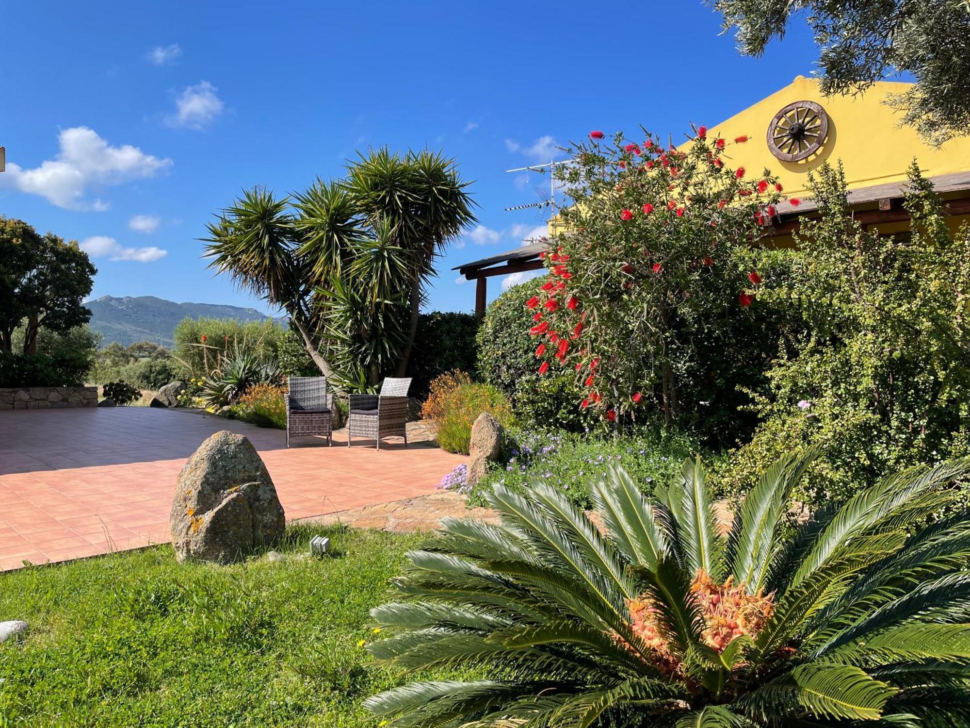 Agriturismo Campesi Casale Tra Le Vigne Aglientu Bagian luar foto