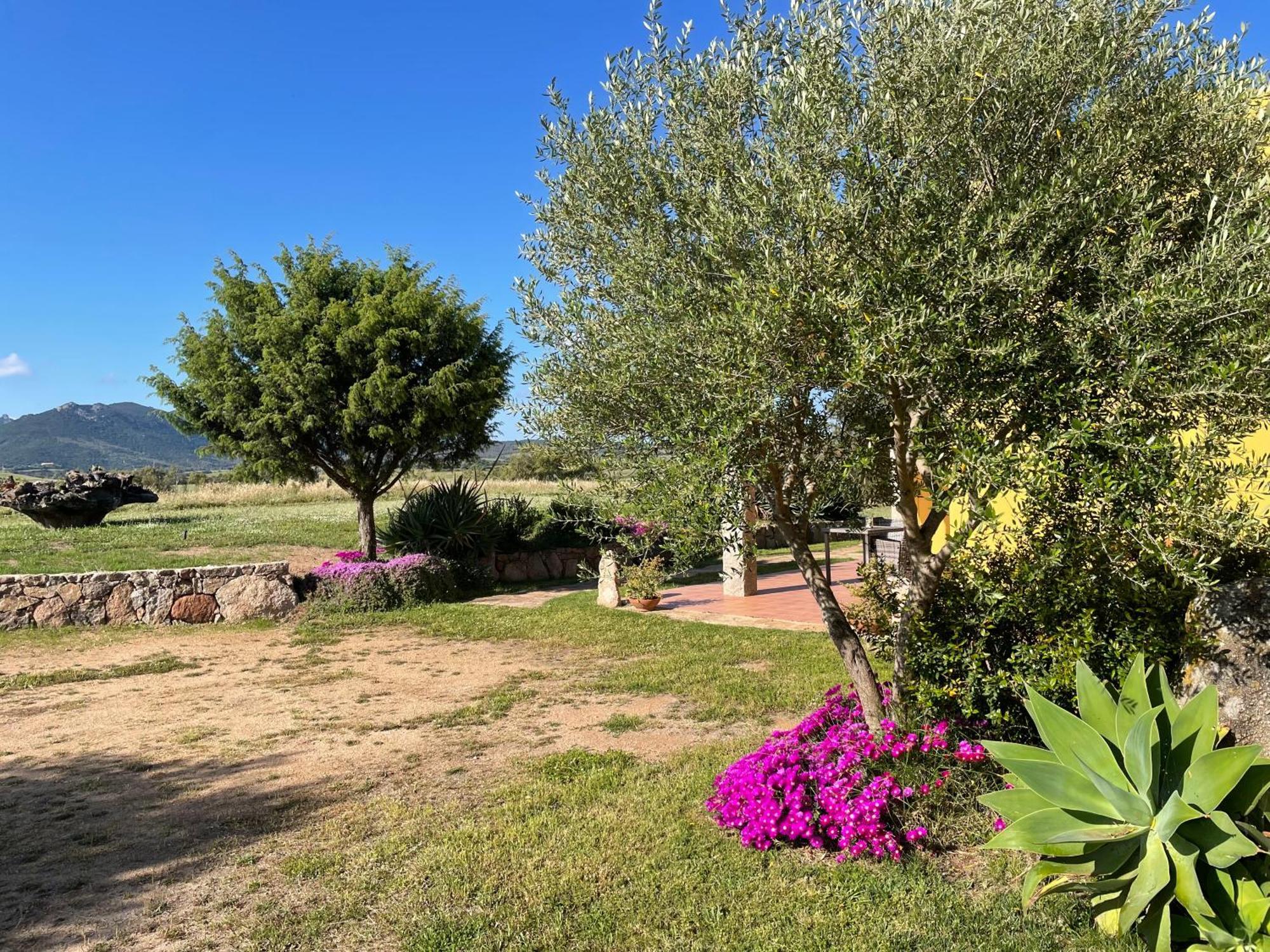Agriturismo Campesi Casale Tra Le Vigne Aglientu Bagian luar foto