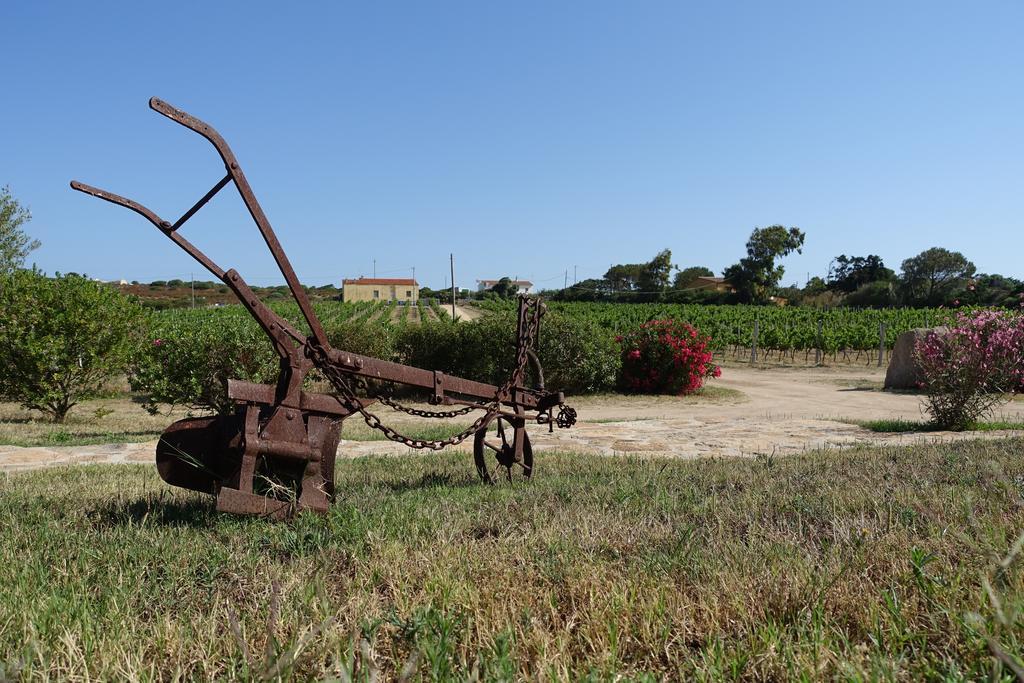 Agriturismo Campesi Casale Tra Le Vigne Aglientu Bagian luar foto
