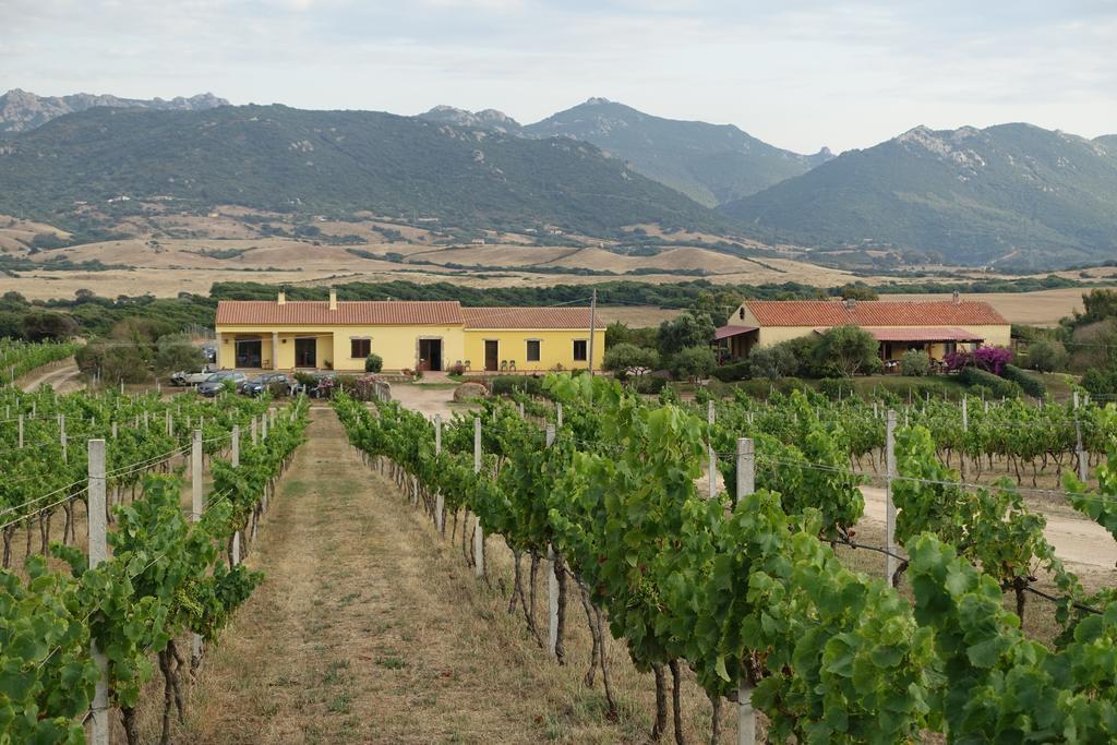 Agriturismo Campesi Casale Tra Le Vigne Aglientu Bagian luar foto