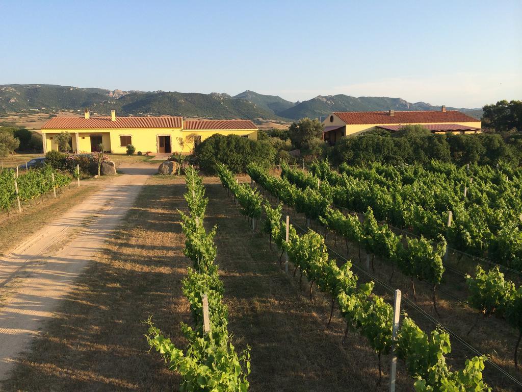 Agriturismo Campesi Casale Tra Le Vigne Aglientu Bagian luar foto