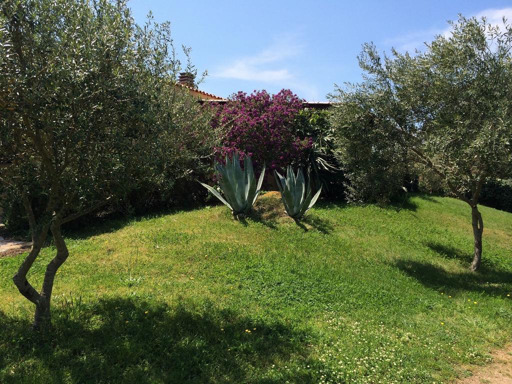 Agriturismo Campesi Casale Tra Le Vigne Aglientu Bagian luar foto
