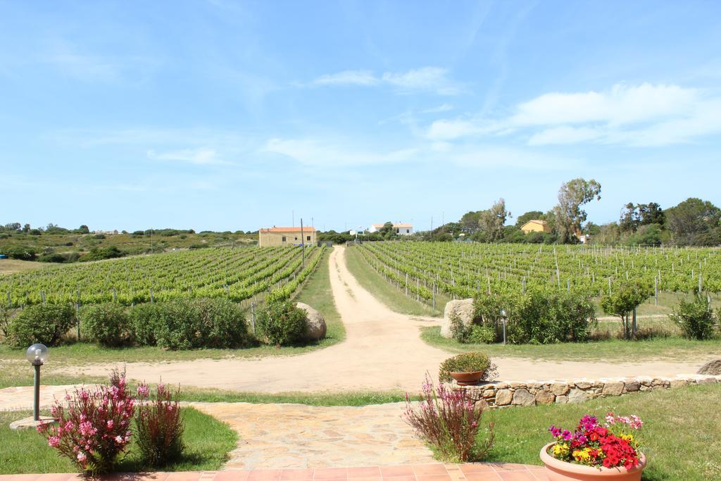 Agriturismo Campesi Casale Tra Le Vigne Aglientu Bagian luar foto
