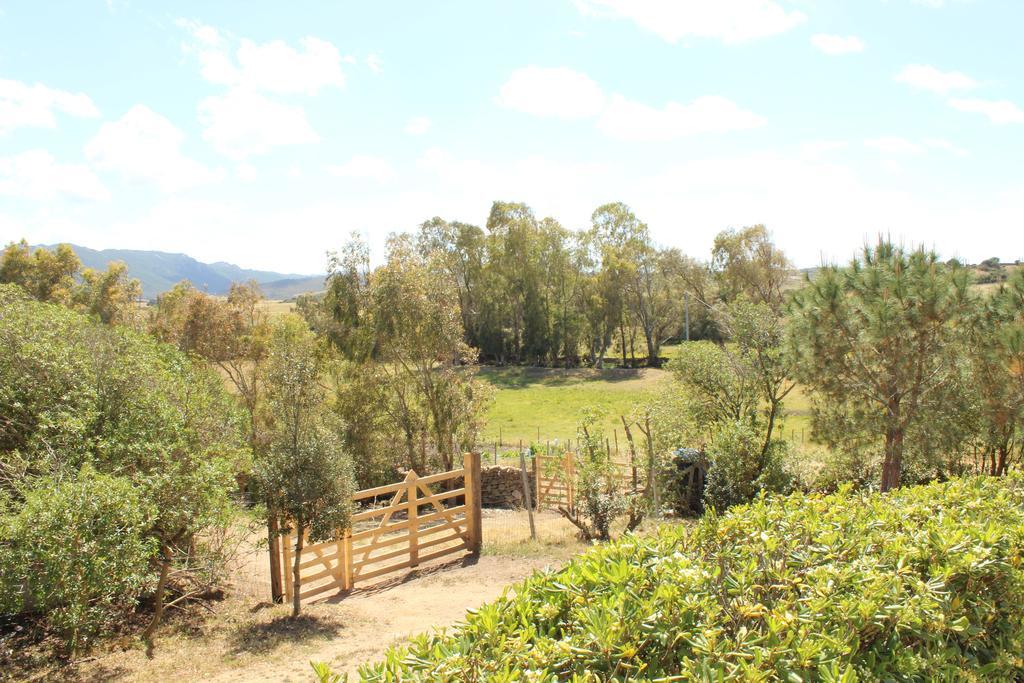 Agriturismo Campesi Casale Tra Le Vigne Aglientu Bagian luar foto