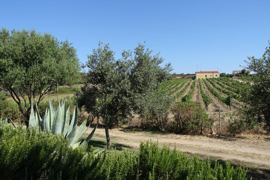 Agriturismo Campesi Casale Tra Le Vigne Aglientu Bagian luar foto