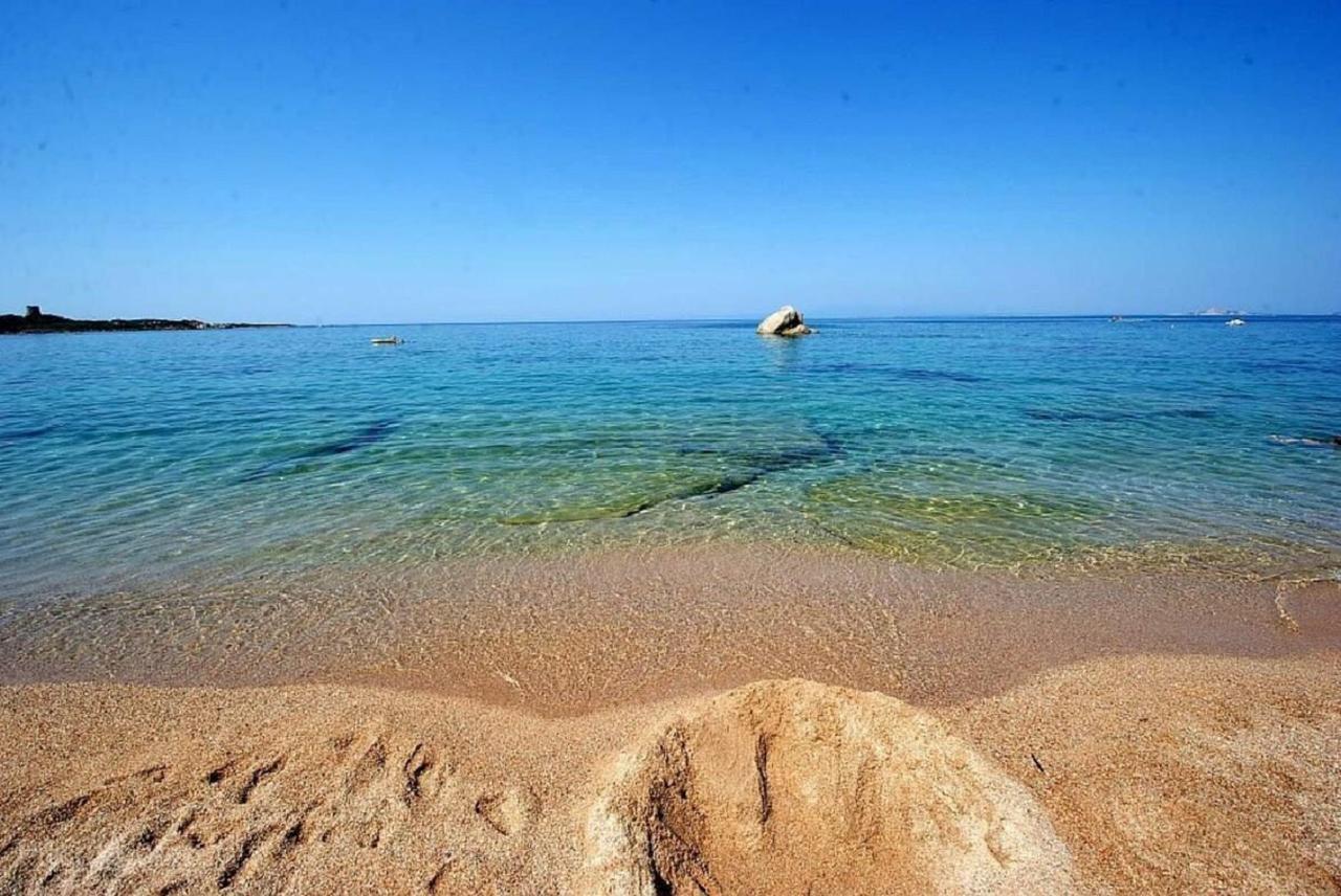 Agriturismo Campesi Casale Tra Le Vigne Aglientu Bagian luar foto
