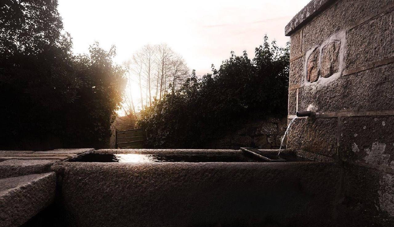 Agriturismo Campesi Casale Tra Le Vigne Aglientu Bagian luar foto