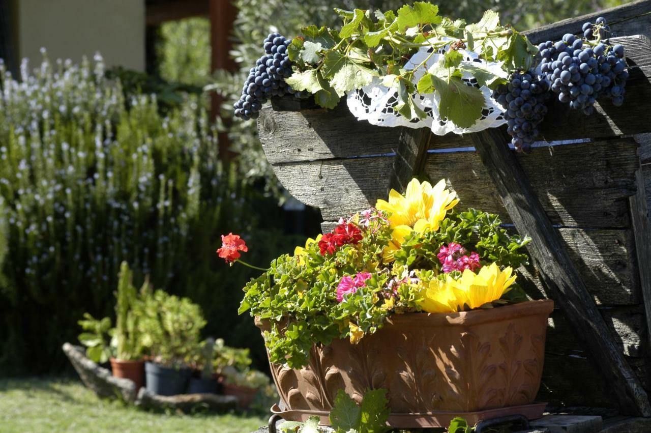 Agriturismo Campesi Casale Tra Le Vigne Aglientu Bagian luar foto