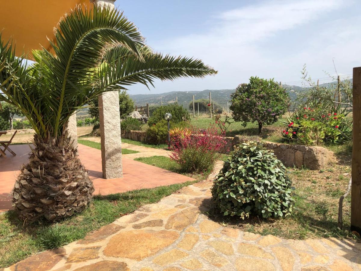 Agriturismo Campesi Casale Tra Le Vigne Aglientu Bagian luar foto